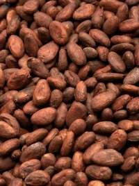 Cocoa Beans