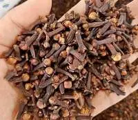 Cloves