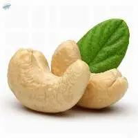 Cashew Nuts
