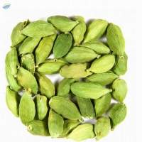 Cardamom
