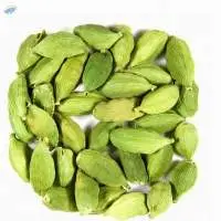 Cardamom