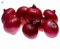 Fresh red onion