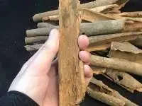 Broken Cinnamon