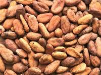 Cocoa Beans