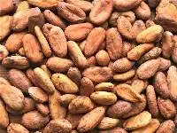 Cocoa Beans