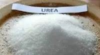 Urea Nitrogen Fertilizer