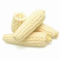 White Corn/Maize