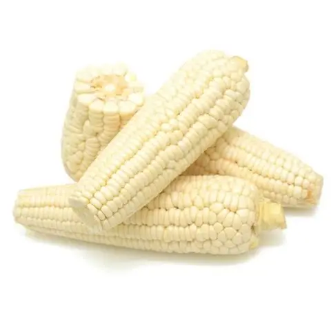 White Corn/Maize