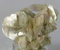 Muscovite/Mica