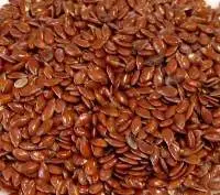 Oil Seeds