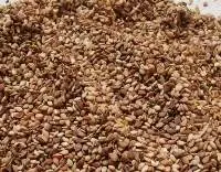 Reddish Sesame Seed