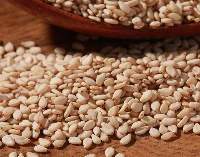 Whitish Sesame Seed