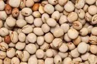 Pigeon Peas