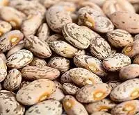 Pinto Beans