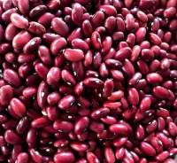 Red Kideny Beans