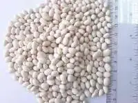 White Pea Beans