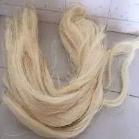 Sisal Fiber Short Fiber Tow 1