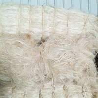 Sisal Fiber Short Fiber Tow 2