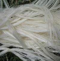 Sisal Fiber Ug Grade