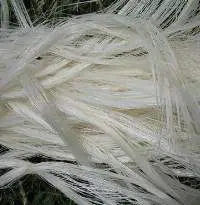 Sisal Fiber Ug Grade