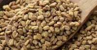 Fenugreek Seed
