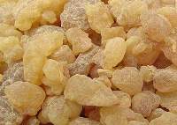 Whitesh Gums
