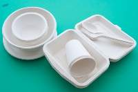 Medium Plate