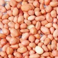 Peanuts (Groundnuts)