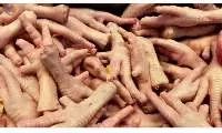 Frozen Chicken Feet