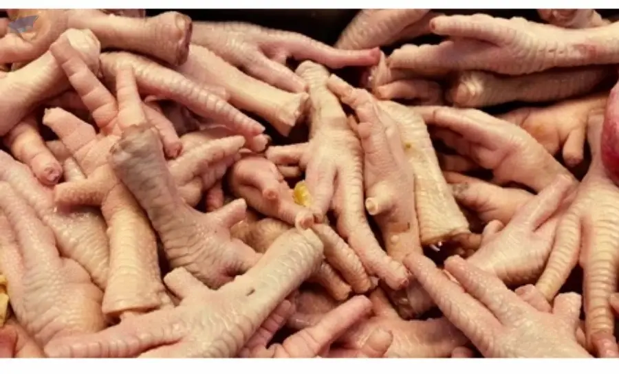 Frozen Chicken Feet