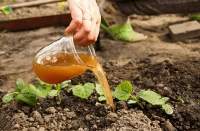 Fertilizer