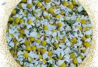 Chamomile