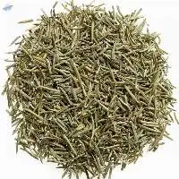 Rosemary