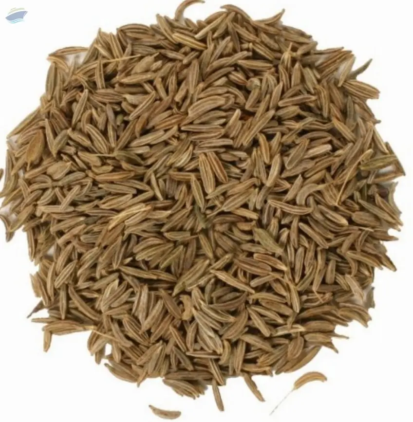 Caraway