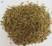 Cumin Seeds
