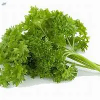 Parsley