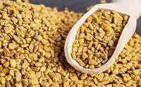 Fenugreek