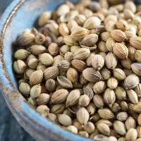 Coriander Seeds