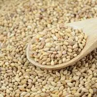 White Sesame Seeds