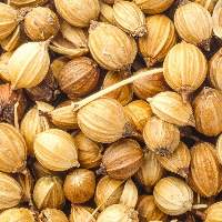 Dried Coriander