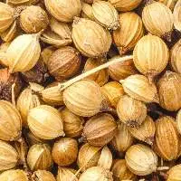 Dried Coriander