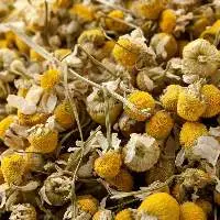 Dried Chamomile