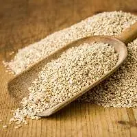 Golden Sesame Seeds