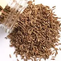 Caraway Seeds