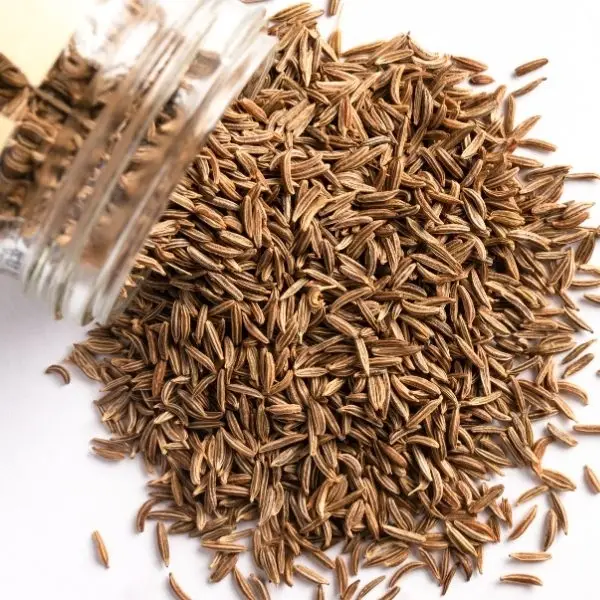 Caraway Seeds