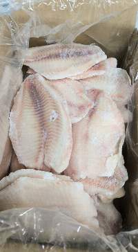Frozen Tilapia Fillets (Oreochromis Niloticus)