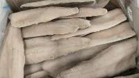 Frozen Pike Perch Fillets Premium Grade