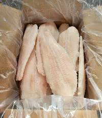 Frozen Pangasius Fillets Premium Grade