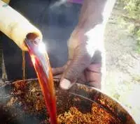 Palm Oil