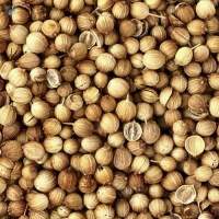 Premium Grade Coriander Seeds Eagle